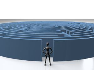 federal employment attorney